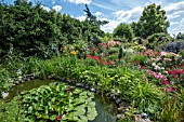 GARDEN POND WITH WATER LILY SURROUNDED WITH PERENNIALS ROSES AND CLEMATIS