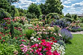 ROSE GARDEN WITH GRASSES PERENNIALS CLEMATIS AND SHRUBS