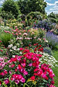 ROSE GARDEN WITH GRASSES PERENNIALS CLEMATIS AND SHRUBS