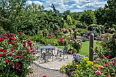 GARDEN PATIO AREA SURROUNDED WITH ROSES WITH PERENNIALS