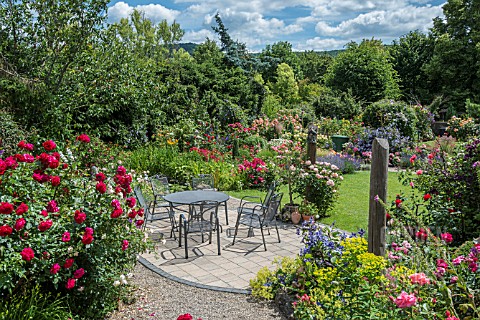 GARDEN_PATIO_AREA_SURROUNDED_WITH_ROSES_WITH_PERENNIALS