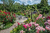 GARDEN PATIO AREA SURROUNDED WITH ROSES WITH PERENNIALS