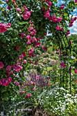 ROSE ARCH WITH PERENNIAL GARDEN