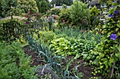 VEGETABLE GARDEN