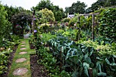 VEGETABLE GARDEN