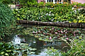 FARMHOUSE LILY POND