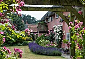 SUMMER GARDEN WITH ROSES AND LAVENDER