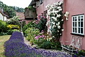 SUMMER GARDEN WITH ROSES AND LAVENDER