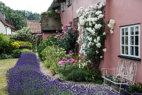 SUMMER_GARDEN_WITH_ROSES_AND_LAVENDER