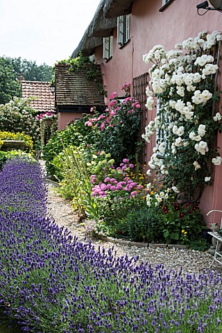 SUMMER_GARDEN_WITH_ROSES_AND_LAVENDER