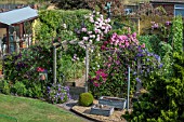 KITCHEN GARDEN FLOWERS AND VEGETABLES