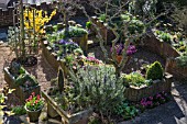 ALPINE GARDEN WITH SHRUBS