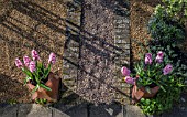 CHIMNEY POTS AS CONTAINERS WITH HYACINTHS