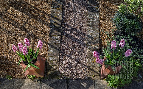 CHIMNEY_POTS_AS_CONTAINERS_WITH_HYACINTHS