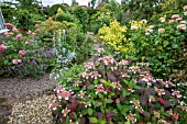 SUMMER GARDEN WITH HYDRANGEA