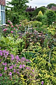 SUMMER GARDEN WITH GERANIUM GRANDIFLORA AND PICEA