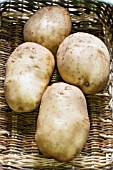 POTATO MARKIES