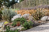 RHS HYDE HALL GARDEN SCREE GARDEN