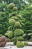 TOPIARY CLOUD AT PARC FLORAL DE LA SOURCE