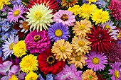 MIXED FLOWERS