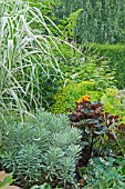 FOLIAGE BORDER MISCANTHUS, EUPHORBIA, LIGULARIA AND DICENTRA