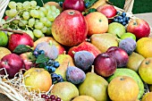 TRUG OR BASKET OF FRUIT