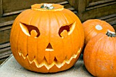PUMPKIN CARVED