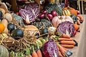 VEGETABLE DISPLAY BY THE RHS