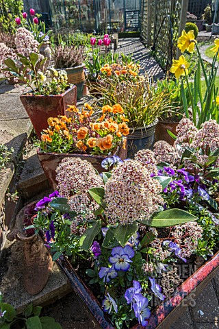 SPRING_CONTAINERS_IN_GARDEN_SETTING