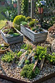 ALPINE GARDEN WITH TROUGHS AND CREVICE GARDEN