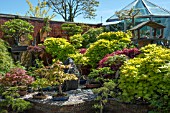 BONSAI GARDEN