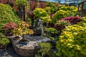 BONSAI GARDEN