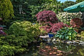 BONSAI GARDEN