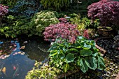 BONSAI GARDEN