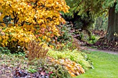 AUTUMN COLOUR AT THE BETH CHATTO GARDENS