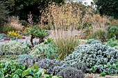 BETH CHATTO GARDENS, THE DRY GARDEN IN AUTUMN