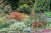 BETH CHATTO GARDENS, THE DRY GARDEN IN AUTUMN