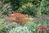 BETH CHATTO GARDENS, THE DRY GARDEN IN AUTUMN