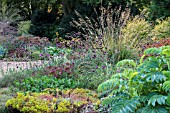 BETH CHATTO GARDENS, THE DRY GARDEN IN AUTUMN