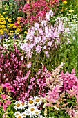 PERENNIAL PLANTS