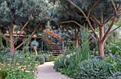 CHELSEA 2016. THE WINTON BEAUTY OF MATHEMATICS GARDEN - DESIGNED BY NICK BAILEY