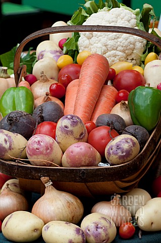 VEGETABLES_MIXED_AT_RHS_SHOW__NATIONAL_VEGETABLE_SOCIETY
