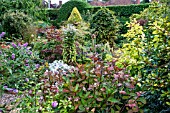 AUTUMN GARDEN
