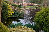 WINTER GARDEN POOL AT JOHNS GARDEN, ASHWOOD