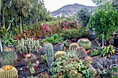 GARDEN CENTRE, CANARY ISLANDS