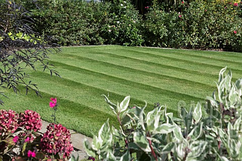 LAWN_WITH_STRIPES