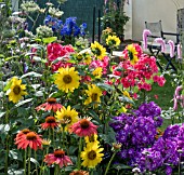 PERENNIALS MIXED SUMMER