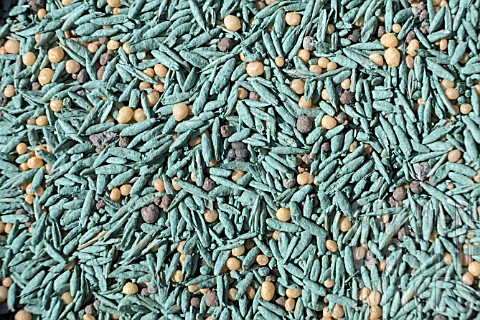 LAWN_GRASS_SEED_WITH_FEED_AND_SOIL_CONDITIONER