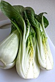 PAK CHOI