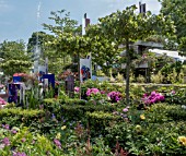 RHS CHELSEA 2018 WUHAN WATER GARDEN CHINA BRONZE MEDAL